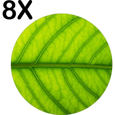 BWK Luxe Ronde Placemat - Close Up Groen Blad - Set van 8 Placemats - 40x40 cm - 2 mm dik Vinyl - Anti Slip - Afneembaar