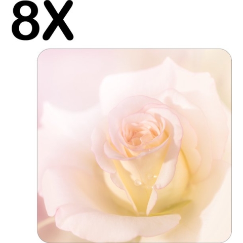 BWK Stevige Placemat - Witte Roos met Roze Gloed - Set van 8 Placemats - 40x40 cm - 1 mm dik Polystyreen - Afneembaar