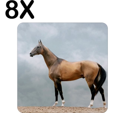 BWK Stevige Placemat - Bruin Paard - Dier - Grijze Achtergrond - Set van 8 Placemats - 50x50 cm - 1 mm dik Polystyreen - Afneembaar