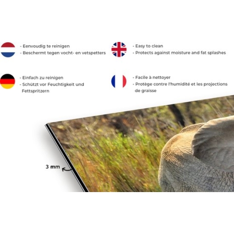 Spatscherm Keuken - Kookplaat Achterwand - Spatwand Fornuis - 120x60 cm - Badderende olifant - Aluminium - Wanddecoratie - Muurbeschermer - Hittebestendig