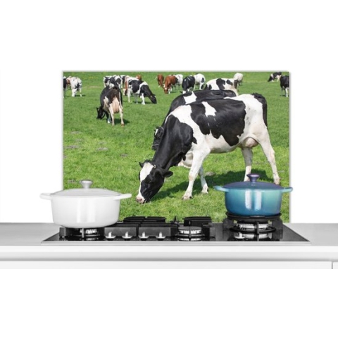 Spatscherm Keuken - Kookplaat Achterwand - Spatwand Fornuis - 90x60 cm - Koe - Dieren - Gras - Zon - Aluminium - Wanddecoratie - Muurbeschermer - Hittebestendig