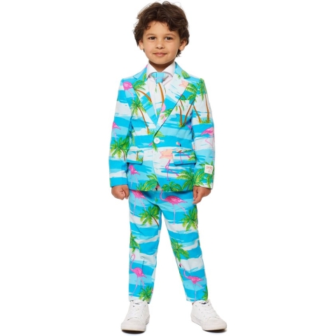 OppoSuits Flaminguy - Jongens Kostuum - Gekleurd - Carnaval - Maat 110/116
