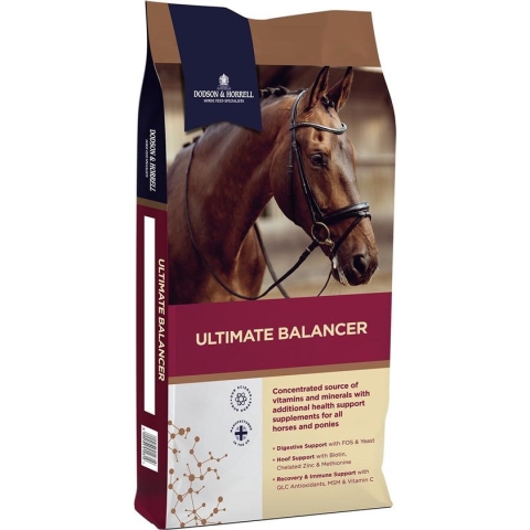 Ultimate Balancer 20kg