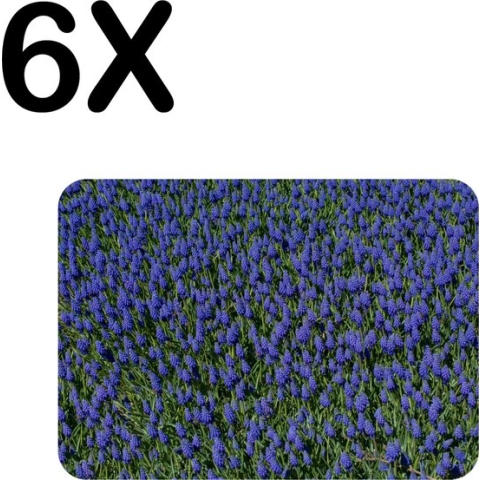 BWK Flexibele Placemat - Blauw Paarse Bloemen - Set van 6 Placemats - 40x30 cm - PVC Doek - Afneembaar