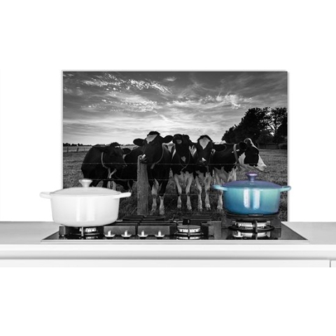 KitchenYeah - Spatscherm keuken - Koeien - Dieren - Boerderij - Keuken - Zwart - Wit - Muurdecoratie - Spatwand - 90x60 cm