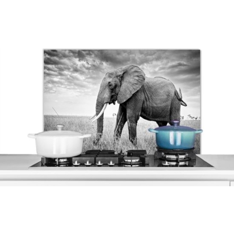 Spatscherm Keuken - Kookplaat Achterwand - Spatwand Fornuis - 80x55 cm - Olifant op de vlakte in zwart-wit - Aluminium - Wanddecoratie - Muurbeschermer - Hittebestendig