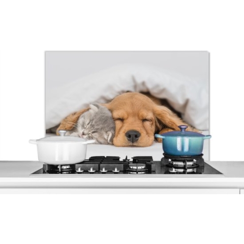 Spatscherm - Kat - Hond - Poes - Honden - Deken - Dieren - 80x55 cm - Keuken decoratie - Muurbeschermer - Spatwand keuken - Spatscherm dieren