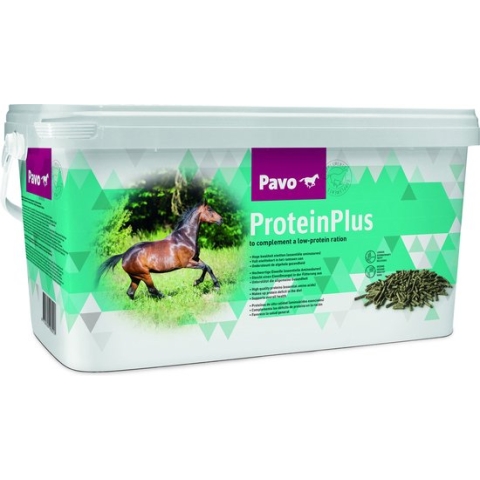 Pavo ProteinPlus