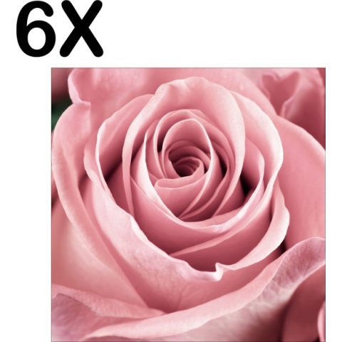 BWK Textiele Placemat - Close Up Roze Roos - Set van 6 Placemats - 40x40 cm - Polyester Stof - Afneembaar