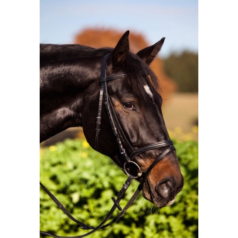 Kerbl Hoofdstel standaard - Warmbloed - zwart