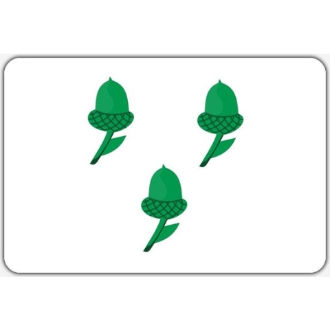 Vlag Akersloot - 150 x 225 cm - Polyester