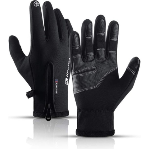 Ski-warme Herenhandschoenen - Wind- en Waterdicht - Zwart