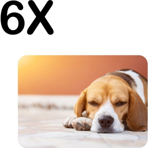 BWK Flexibele Placemat - Liggende Beagle Puppy - Set van 6 Placemats - 40x30 cm - PVC Doek - Afneembaar