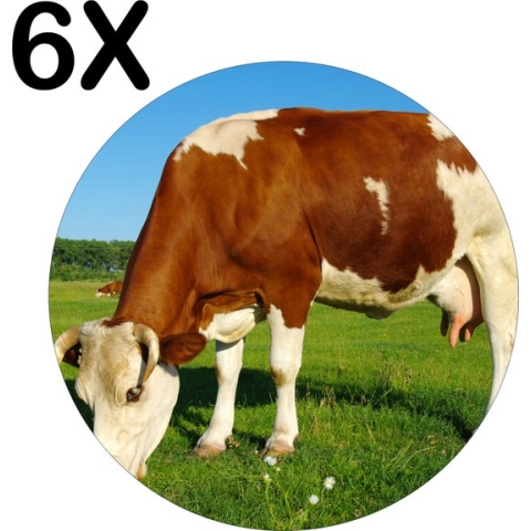 BWK Stevige Ronde Placemat - Bruin met Witte Koe Grazend in het Gras - Set van 6 Placemats - 40x40 cm - 1 mm dik Polystyreen - Afneembaar