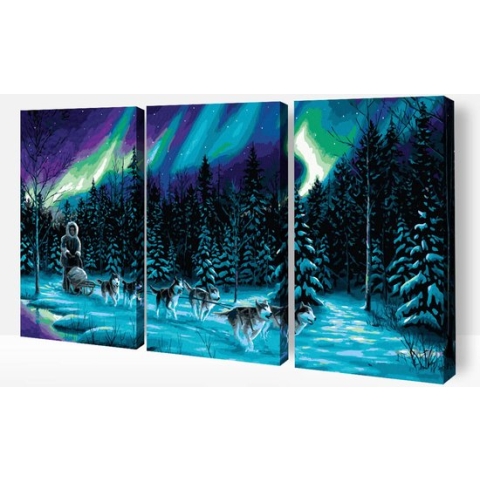 Schilderen Op Nummer Volwassenen DIY Paint By Number Compleet Hobby Pakket op Frame met Vernis - ®Arty Bee - Northern Light - 3x40x50cm