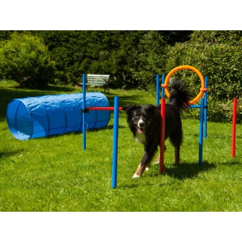 ProCyoN Agility set K2 Tunnel, slalom 4 palen, Horde en springringAgilityset K2