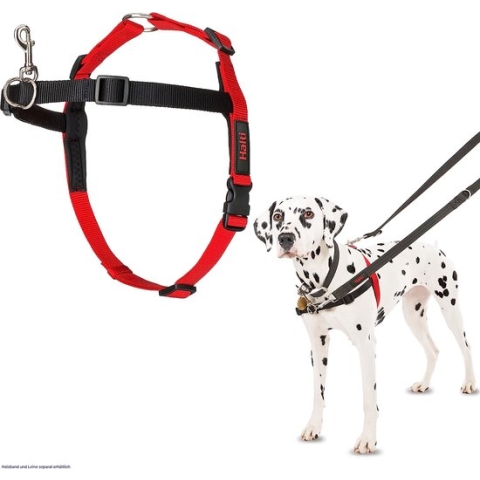 Hondenharnas, medium