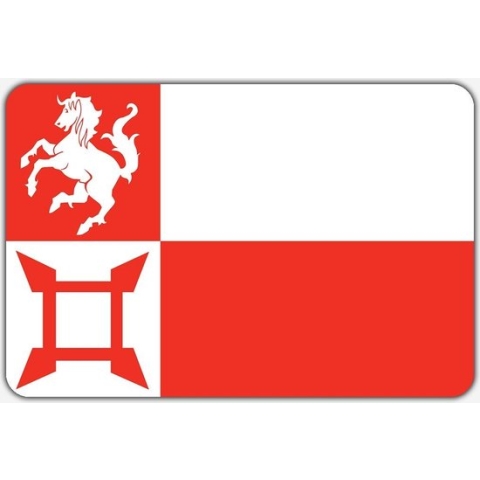 Vlag Norg - 200 x 300 cm - Polyester