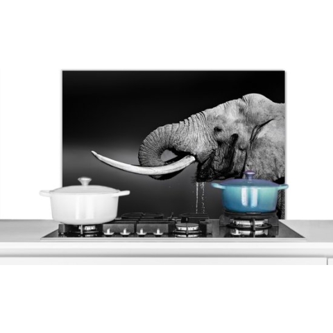 Spatscherm Keuken - Kookplaat Achterwand - Spatwand Fornuis - 80x55 cm - Olifant - Water - Dieren - Zwart - Wit - Aluminium - Wanddecoratie - Muurbeschermer - Hittebestendig