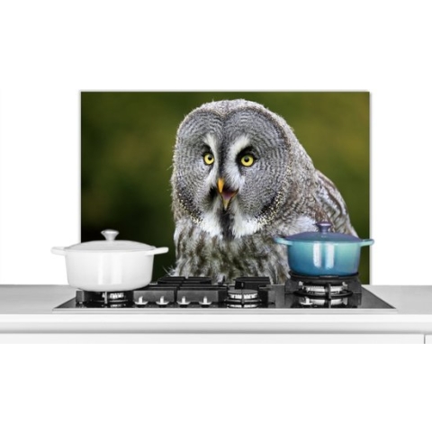 Spatscherm Keuken - Kookplaat Achterwand - Spatwand Fornuis - 90x60 cm - Vogel - Uil - Grijs - Aluminium - Wanddecoratie - Muurbeschermer - Hittebestendig