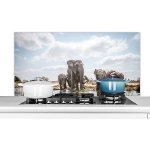 Spatscherm Keuken - Kookplaat Achterwand - Spatwand Fornuis - 120x60 cm - Olifant - Water - Afrikaans - Aluminium - Wanddecoratie - Muurbeschermer - Hittebestendig