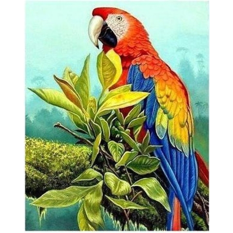 Exotic Bird D'art Diamond Painting