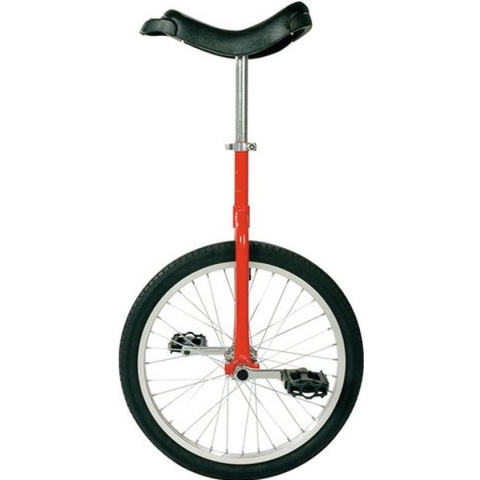 Only One 20 inch eenwieler