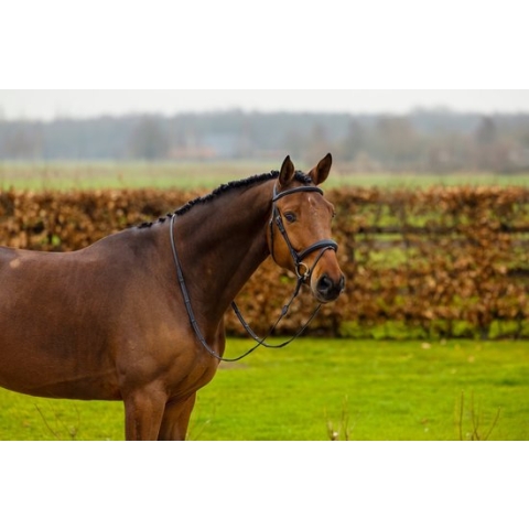 Trust Amsterdam Combined Noseband Bridle Anatomic - Brown/Gold - Maat Full