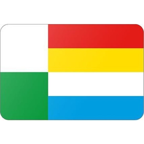 Vlag gemeente Oss - 200 x 300 cm - Polyester