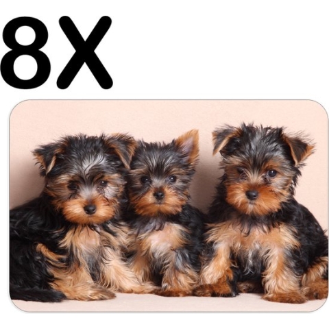 BWK Flexibele Placemat - Schattige Yorkshire Puppies - Honden - Set van 8 Placemats - 45x30 cm - PVC Doek - Afneembaar