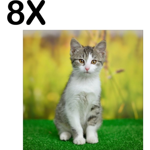 BWK Textiele Placemat - Wit met Grijze Poes op het Gras - Set van 8 Placemats - 40x40 cm - Polyester Stof - Afneembaar