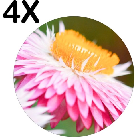 BWK Stevige Ronde Placemat - Roze met Gele Bloem in de Natuur - Set van 4 Placemats - 50x50 cm - 1 mm dik Polystyreen - Afneembaar