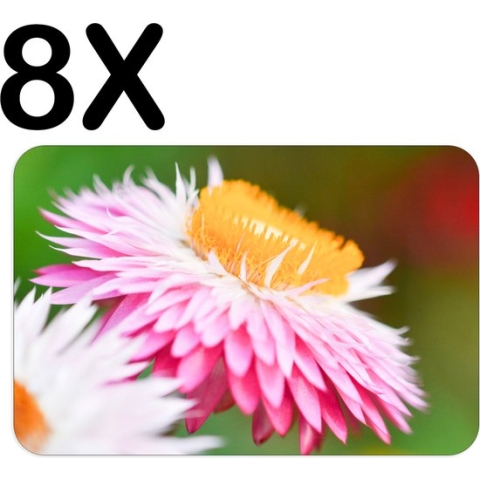 BWK Flexibele Placemat - Roze met Gele Bloem in de Natuur - Set van 8 Placemats - 45x30 cm - PVC Doek - Afneembaar