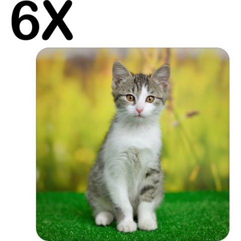 BWK Stevige Placemat - Wit met Grijze Poes op het Gras - Set van 6 Placemats - 40x40 cm - 1 mm dik Polystyreen - Afneembaar