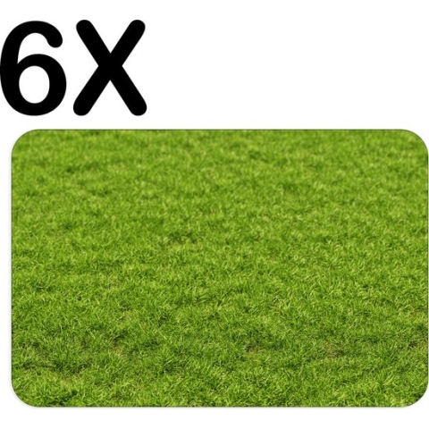 BWK Luxe Placemat - Groen Gras - Set van 6 Placemats - 45x30 cm - 2 mm dik Vinyl - Anti Slip - Afneembaar