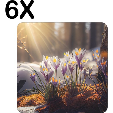 BWK Flexibele Placemat - Krokussen in het Bos - Set van 6 Placemats - 50x50 cm - PVC Doek - Afneembaar