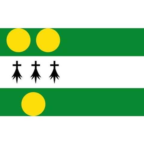 Vlag Anthisnes 200x300cm