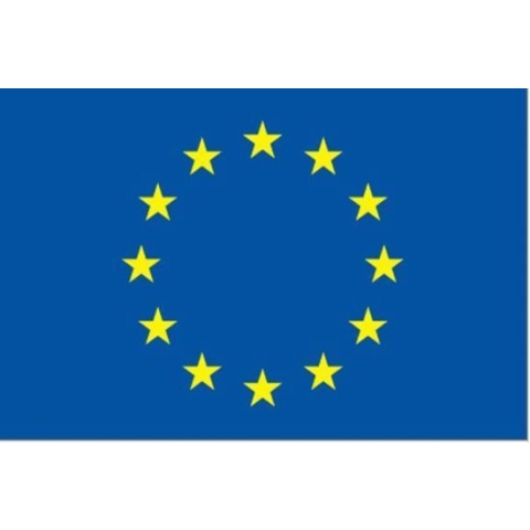 Vlag Europese Unie 150x225cm - Glanspoly