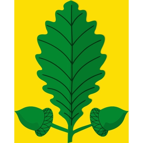 Vlag Heusden-Zolder 150x225cm