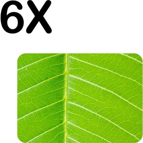 BWK Flexibele Placemat - Close-Up Groen Blad - Plant - Set van 6 Placemats - 40x30 cm - PVC Doek - Afneembaar