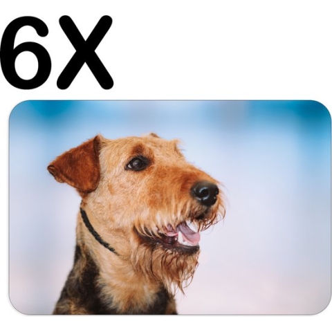 BWK Stevige Placemat - Vrolijke Bruine Terrier Hond - Set van 6 Placemats - 45x30 cm - 1 mm dik Polystyreen - Afneembaar