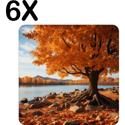 BWK Stevige Placemat - Herfstige boom aan de Rand van een Meer - Set van 6 Placemats - 50x50 cm - 1 mm dik Polystyreen - Afneembaar