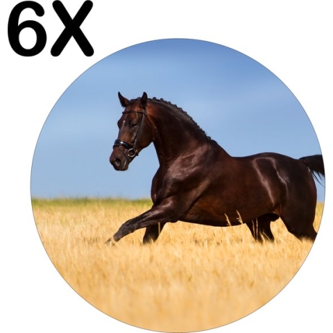 BWK Flexibele Ronde Placemat - Gallopperend Paard in het Gras - Set van 6 Placemats - 40x40 cm - PVC Doek - Afneembaar