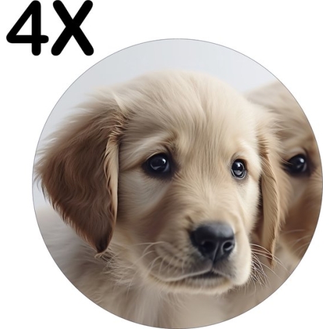 BWK Stevige Ronde Placemat - Twee Golden Retriever Puppies - Set van 4 Placemats - 50x50 cm - 1 mm dik Polystyreen - Afneembaar