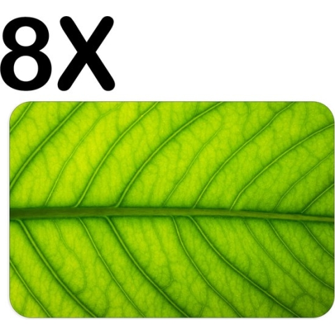 BWK Flexibele Placemat - Close Up Groen Blad - Set van 8 Placemats - 45x30 cm - PVC Doek - Afneembaar