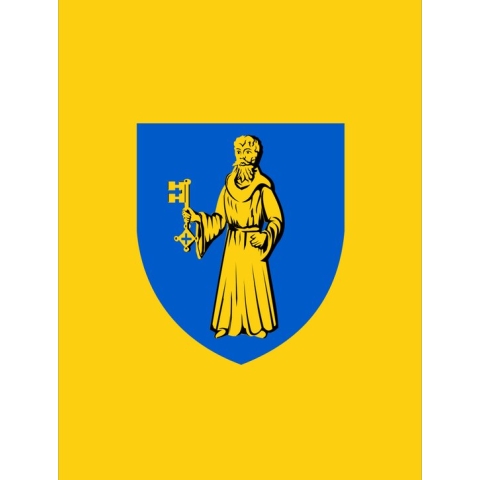 Vlag Lille 150x225cm