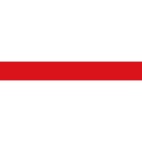Vlag Dendermonde 150x225cm