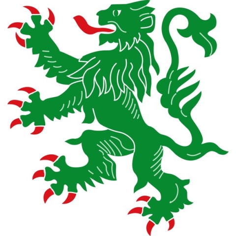 Vlag Hamoir 200x300cm