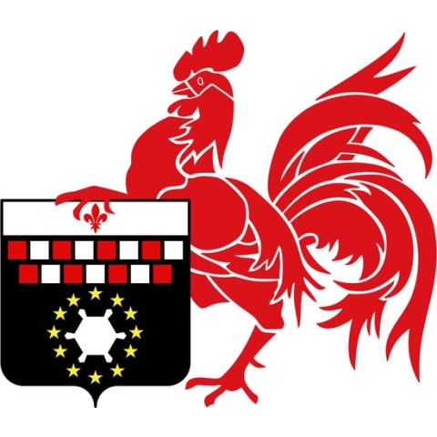 Vlag Charleroi 150x225cm