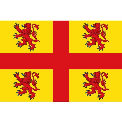 Vlag Steenput 150x225cm